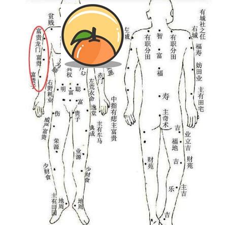 左手臂内侧有痣|胳膊上有痣代表什么 胳膊不同位置痣相解析——天玄网